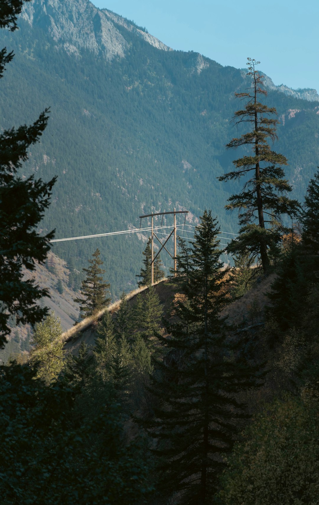 Power transmission lines crossing a forested mountain valley representing Canadian grid careers